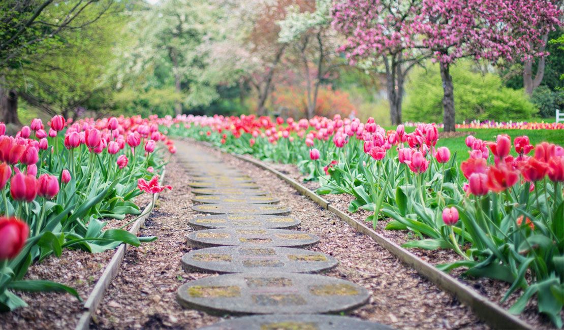 Rose Garden Path landscaper-homepage-work-01